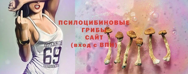 дживик Богородицк