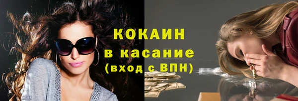 дживик Богородицк