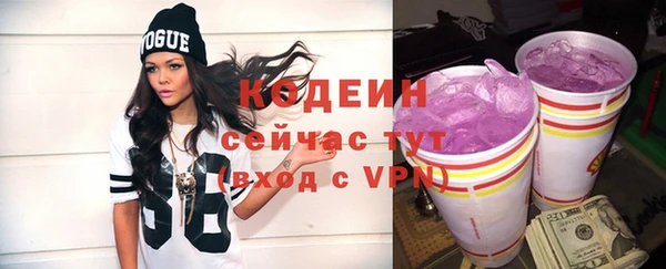 дживик Богородицк