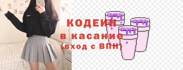 дживик Богородицк