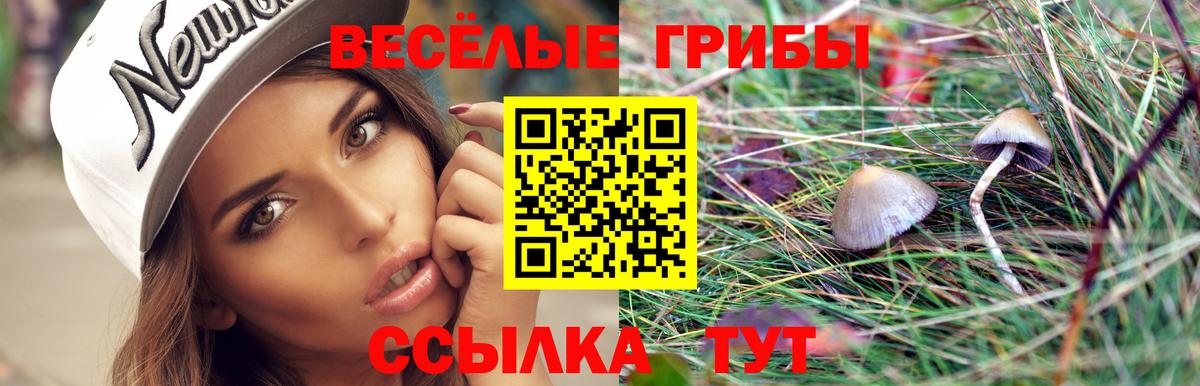 наркошоп  Псилоцибиновые грибы ЛСД  Вход с VPN  Новый Уренгой  Галлюциногенные грибы прущие грибы 